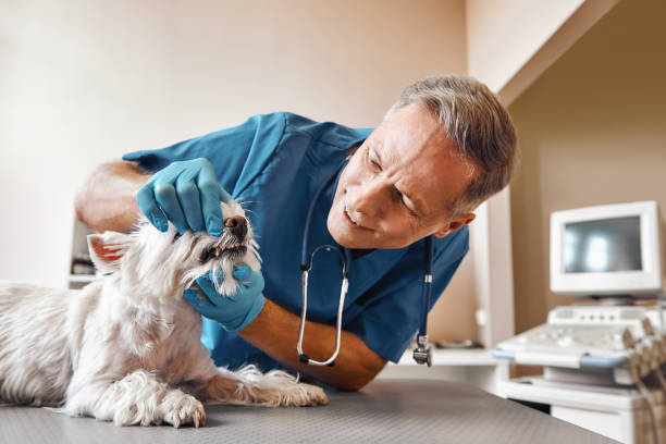 Best Emergency Root Canal Treatment in Lawton, OK