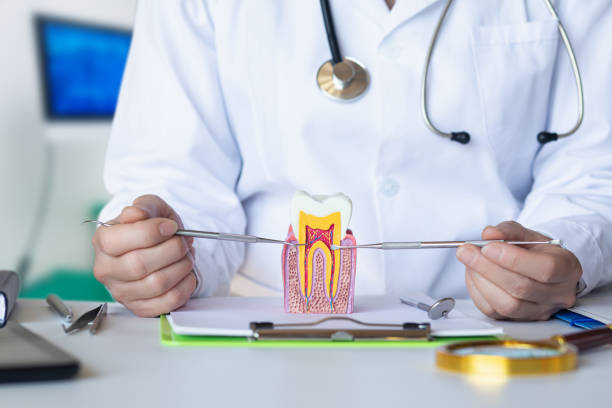Best Emergency Dentist for Knocked-Out Tooth in Lawton, OK